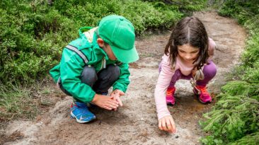 How to Use the Outdoors to Teach STEM this Fall