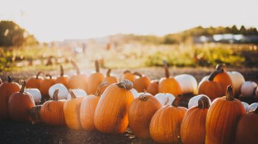 Halloween Fun can be STEM Fun, too!